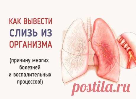 ПРОСТЫЕ СПОСОБЫ ИЗБАВЛЕНИЯ ОТ СЛИЗИ В ОРГАНИЗМЕ. Самым эффективным методом, который помогает вывести данный секрет, является употребление этого простого ингредиента!