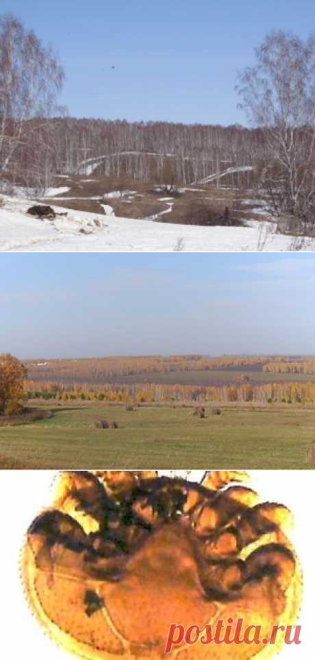 Календарь пчеловода - сезонные дела на пасеке