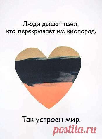 Life's Scrapbook | VK