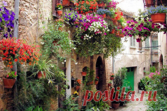 calendario adviento 2019 - Buscar con Google