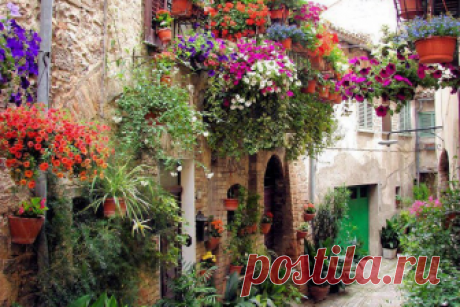 calendario adviento 2019 - Buscar con Google