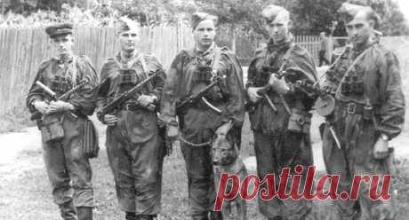 «Волкодавы Сталина»: какие уникальные способности были у сотрудников СМЕРШа Сотрудников советской военной контрразведки СМЕРШ часто представляют в виде таких «сверхчеловеков», как Скорохват-Таманцев из романа Владимира Богомолова «Момент истины». Конечно, в книге есть художественное преувеличение. Но чтобы противостоять вражеским диверсантам и шпионам, бойцам СМЕРШа действительно требовались особые навыки. Чему же учили «сталинских волкодавов»?