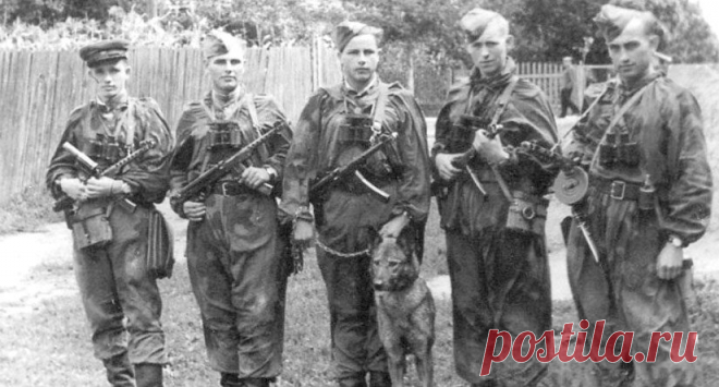 «Волкодавы Сталина»: какие уникальные способности были у сотрудников СМЕРШа Сотрудников советской военной контрразведки СМЕРШ часто представляют в виде таких «сверхчеловеков», как Скорохват-Таманцев из романа Владимира Богомолова «Момент истины». Конечно, в книге есть художественное преувеличение. Но чтобы противостоять вражеским диверсантам и шпионам, бойцам СМЕРШа действительно требовались особые навыки. Чему же учили «сталинских волкодавов»?
