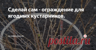 Сделай сам - ограждение для ягодных кустарников. Ягодные кустарники – чёрная смородина и крыжовник имеют изогнутые ветки, которые со временем всё больше клонит к земле. Ветки ягодных кустарников обязательно нужно приподнимать с помощью опоры, чтобы они не касались земли, тогда ягоды будут зреть чистыми, красивыми, не загнивать и не плесневеть.
Лежащие ветки на земле часто поражаются болезнями и вредителями, урожайность их снижена, поэтому их рек