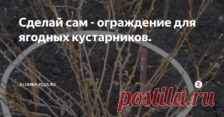 Сделай сам - ограждение для ягодных кустарников. Ягодные кустарники – чёрная смородина и крыжовник имеют изогнутые ветки, которые со временем всё больше клонит к земле. Ветки ягодных кустарников обязательно нужно приподнимать с помощью опоры, чтобы они не касались земли, тогда ягоды будут зреть чистыми, красивыми, не загнивать и не плесневеть.
Лежащие ветки на земле часто поражаются болезнями и вредителями, урожайность их снижена, поэтому их рек
