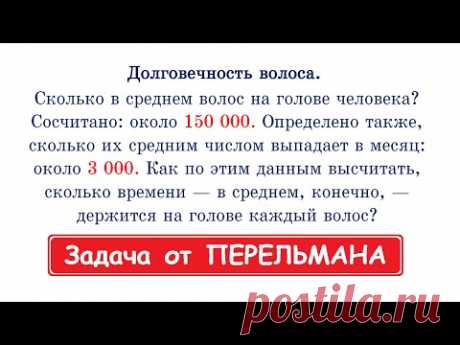 Долговечность ВОЛОСА / Задача от ПЕРЕЛЬМАНА