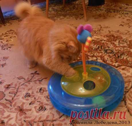 Игра с шариком