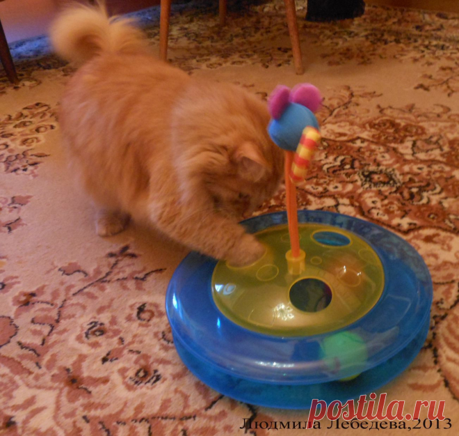 Игра с шариком