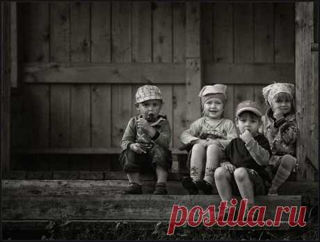 35PHOTO - владимир - Воробушки ...