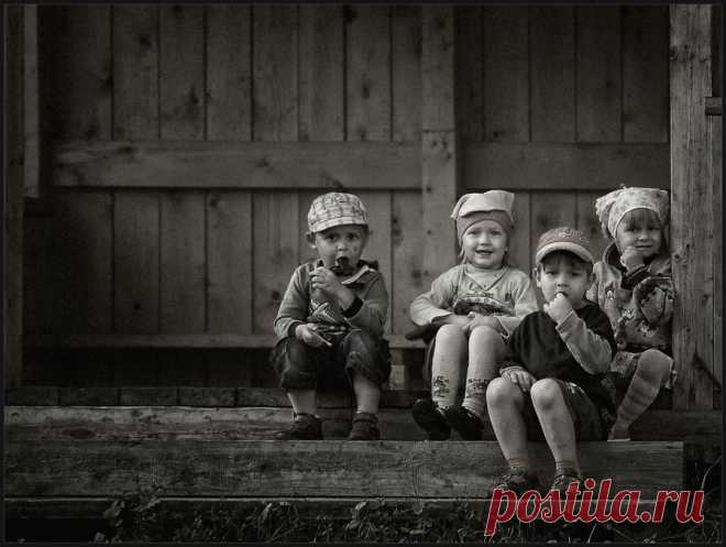 35PHOTO - владимир - Воробушки ...