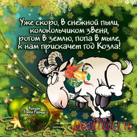 Веселый гороскоп 2015 | Домашняя аптечка