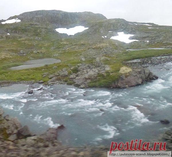 Семужная взвесь (часть 1)