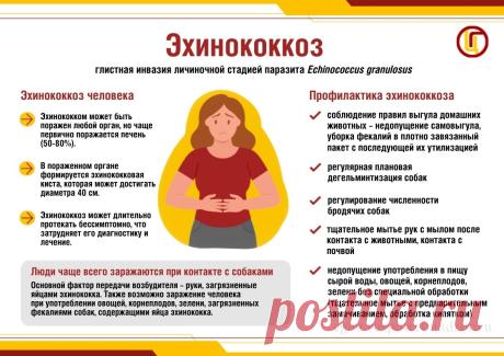 Эхинококкоз