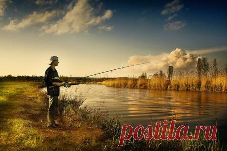 Ловля рыбы на незнакомом водоеме / Богатая добыча