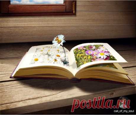 Каждый человек – непрочитанная книга...
Как часто мы верим предисловию, судим по обложке, забывая, что самая суть прячется где -то там, среди страниц в маленькой строчке...