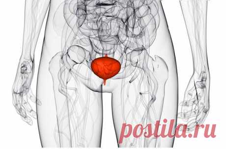 Цистит...??? Лечим....