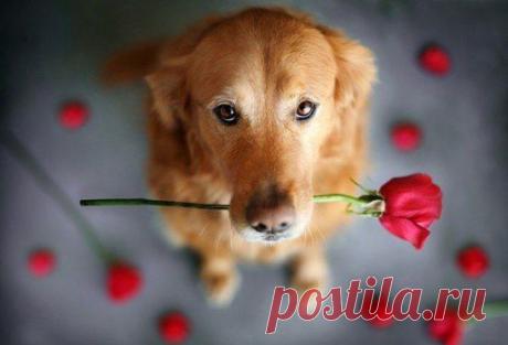 Смотрите хорошие фильмы, слушайте веселую музыку, пейте чай, гуляйте, высыпайтесь и самое главное — верьте, что все у вас получится. И именно тогда все будет хорошо.