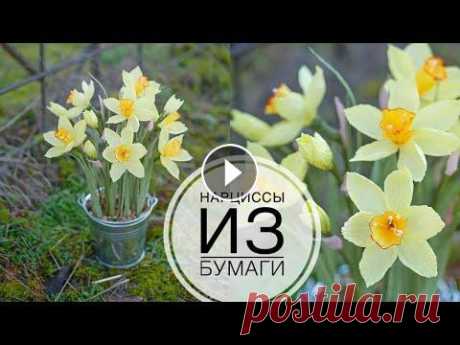 Paper daffodils / НАРЦИССЫ из бумаги / Весенняя композиция / DIY TSVORIC #tsvoric #нарциссыизбумаги #гофрированнаябумага Схема цветов Композиция с нарцисами Белые нарциссы Как сделать тычинки Чем красить бумагу Канал о твор...