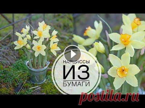 Paper daffodils / НАРЦИССЫ из бумаги / Весенняя композиция / DIY TSVORIC #tsvoric #нарциссыизбумаги #гофрированнаябумага Схема цветов Композиция с нарцисами Белые нарциссы Как сделать тычинки Чем красить бумагу Канал о твор...