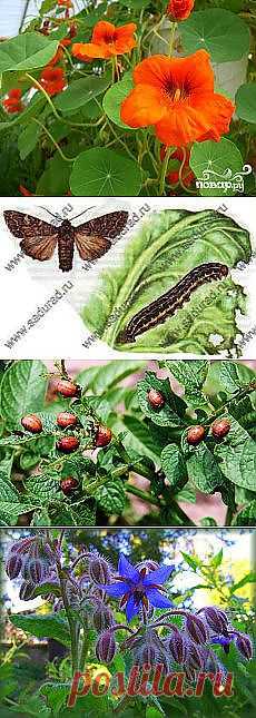 Письмо «DIY Stylish Skirts DIY Projects | UsefulDIY.com и другие материалы. Новое в Вашей подборке на Постила.ru» — Постила.ru — Яндекс.Почта