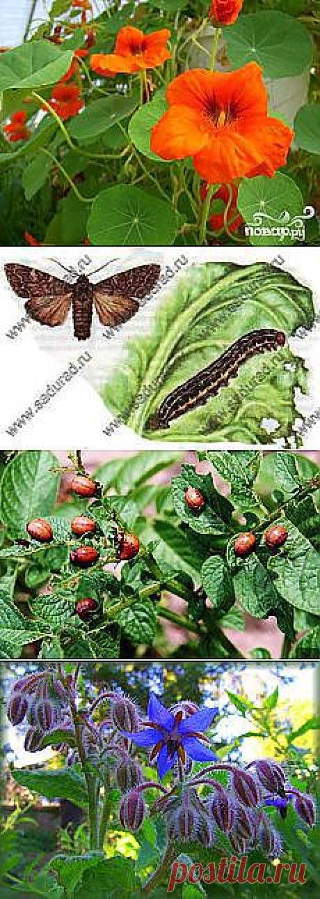 Письмо «DIY Stylish Skirts DIY Projects | UsefulDIY.com и другие материалы. Новое в Вашей подборке на Постила.ru» — Постила.ru — Яндекс.Почта