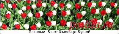 НАЧИНКИ ДЛЯ ПИРОГОВ,ПИРОЖКОВ,ШАНЕЖЕК,ВАТРУШЕК,КУЛЕБЯК и.т.д. - gotovtesnami.ucoz.net