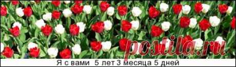 НАЧИНКИ ДЛЯ ПИРОГОВ,ПИРОЖКОВ,ШАНЕЖЕК,ВАТРУШЕК,КУЛЕБЯК и.т.д. - gotovtesnami.ucoz.net