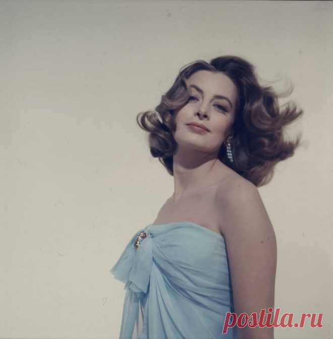 740full-capucine.jpg (740×754)