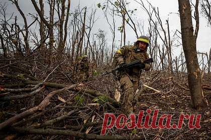 Украине предрекли смену военной стратегии в случае провала контраступления. В случае провала контрнаступления ВСУ Запад не откажется от военной поддержки Украины, однако, вероятно, подтолкнет ее к тому, чтобы как можно дольше затягивать конфликт, заявил военный эксперт, полковник запаса Андрей Кошкин. По мнению специалиста, Запад предпримет попытку сохранить сложившийся статус-кво.