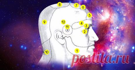 Хроническая головная боль в определенной части головы: вот все причины. Знания индийской медицины. Аюрведа — одно из направлений индийской медицины. Классическая медицина считает это ответвление альтернативным, но в определенных кругах оно пользуется большой популярностью.