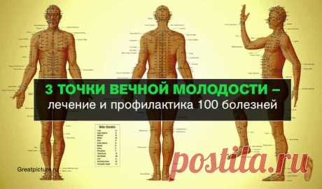 3 точки ВЕЧНОЙ МОЛОДОСТИ – лечение,профилактика 100 болезней 3 точки ВЕЧНОЙ МОЛОДОСТИ – лечение,профилактика 100 болезней.Точки, на которые надо воздействовать для общего оздоровления, омоложения