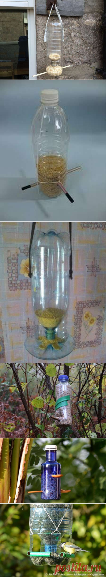 Кормушка для птиц из пластиковой бутылки 200 фото