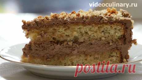 Торт Белочка – рецепт праздничного торта от Бабушки Эммы Вкусный и ароматный торт с лесными орехами и шоколадным кремом. Бабушка Эмма предлагает вам приготовить торт Белочка по этому Видео и Фото рецепту