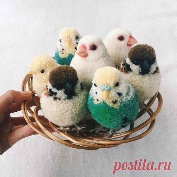 Даже не верится, что это все сделано из помпонов 





