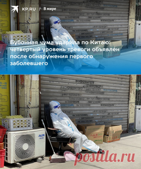 21-7-22-Бубонная чума в Китае 2022: чем грозит первый случай заражения и стоит ли бояться - KP.Ru
