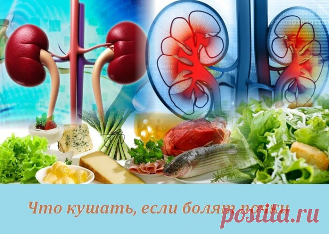 Если болят почки. Что кушать, а что нет | Сад и Огород | Яндекс Дзен