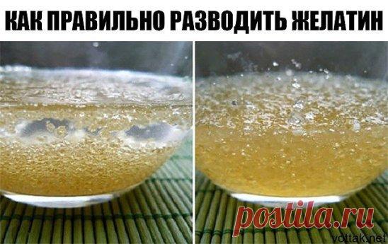 Как правильно разводить желатин
Развести желатин не сложно - растворить его в холодной воде, далее долить жидкость до нужного объёма и подогреть. 
ОЧЕНЬ ВАЖНО ПОМНИТЬ:
1. Важно соблюдать пропорции - иначе может получиться резиновое изделие:
20 грамм желатина + 1 литр воды = дрожащее желе
40-60 грамм желатина + 1 литр воды = желе, которое режется ножом
2. Нельзя желатин кипятить, в этом случае он теряет все свои свойства и не придаст блюду нужную консистенцию.
3. Нельзя остужать желатиновую смес