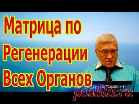 Редкая и Единственная Матрица по Регенерации Всех Органов.