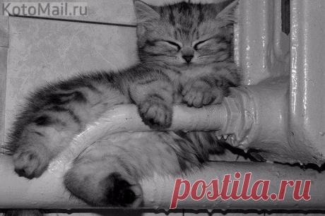 Нам мороз не страшен...