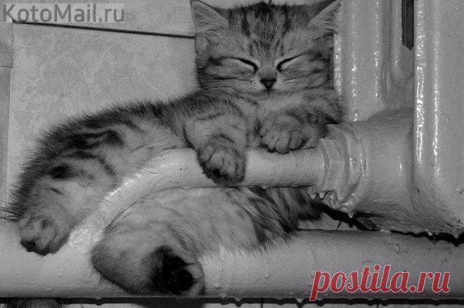 Нам мороз не страшен...