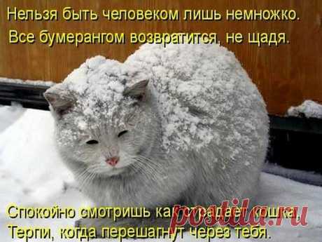 Фотографии ✿ܓЕлена Н. - 7164 фото в Моем Мире.