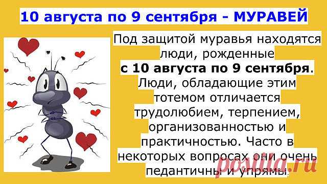 (50) Одноклассники