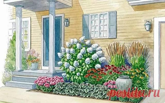 Придомовая клумба, из многолетних растений | Мир растений