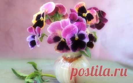 Слова со смыслом