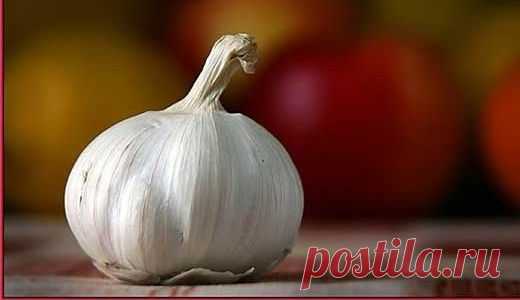 Польза и вред чеснока. Рецепты лечения чесноком