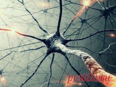 Нейронные сети научат бороться с раком груди Учёные из Лаборатории компьютерных наук и искусственного интеллекта MIT (CSAIL) изобрели метод, который позволяет цифровому разуму не только верно отвечать на вопросы, прогнозировать или классифицировать понятия, но и пояснять рациональность своего выбора. Благодаря этому открытию, представители научного мира надеются разработать оружие для борьбы с опасными болезнями, например, раком груди. Научное сообщество в последнее время сделало значительные…