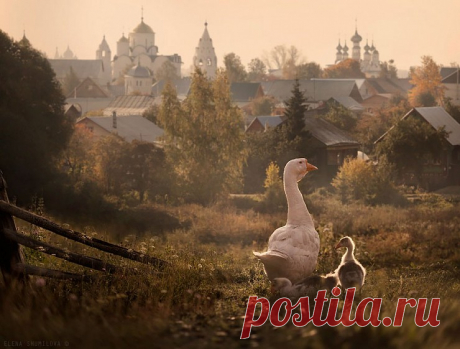 15 деревушек как из сказки, которые существуют на самом деле! Суздаль, Россия.