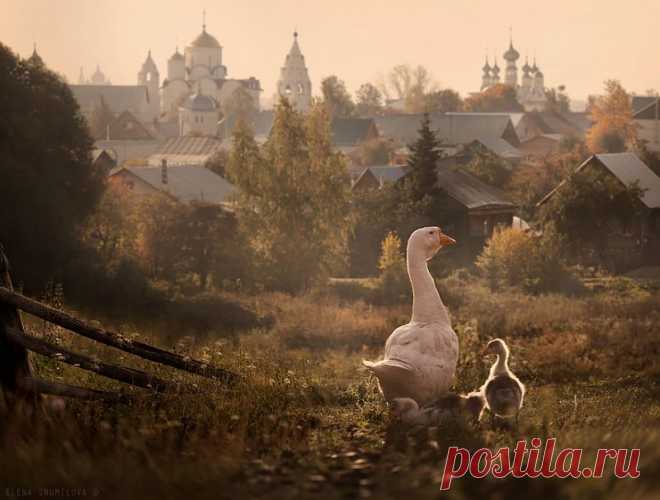 15 деревушек как из сказки, которые существуют на самом деле! Суздаль, Россия.