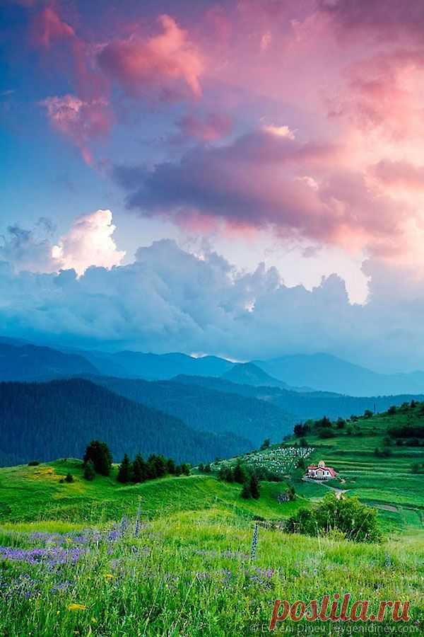 bulgaria | Pin of the Day
