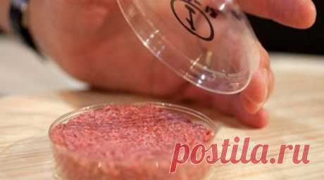 Опытный диетолог рассказала, какой продукт вызывает рак. Выбросила всё до кусочка! — Полезные советы